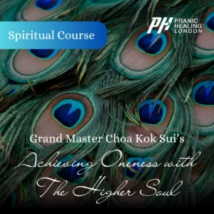 Achieving Oneness with the Higher Soul
