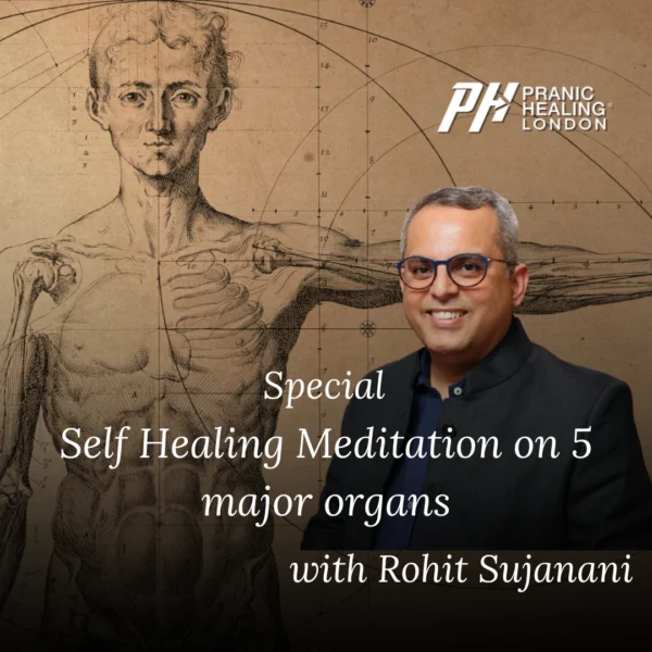 Self Healing Meditation on 5 major Organs